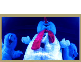Macadam dance parade